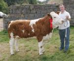 Gerry Lenehan Rathlee Easkey with his Champion Breeding heifer at Ballinrobe Agricultural Show. Photo: Michael Donnelly.