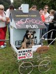 "Smokey" the Dog from Lisdoonvarna (Gerry Davoren's) taking part and Smoking in the Fancy Dress Category  of the Dog Show at Ballinrobe Agricultural Show. Photo: Michael Donnelly.