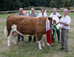 Paddy Hennelly Cregconnell, Rosses Point Sligo with "Hillcrest Joan" the Champion of Show at Ballinrobe Agricultural Show, included in photo are Judges Donie McKeon, Enniscrone; Michael D'Arcy Oughterard; Kenneth Stubbs, Irvinestown Co Fermanagh; and Tom Cox,  Photo: Michael Donnelly.