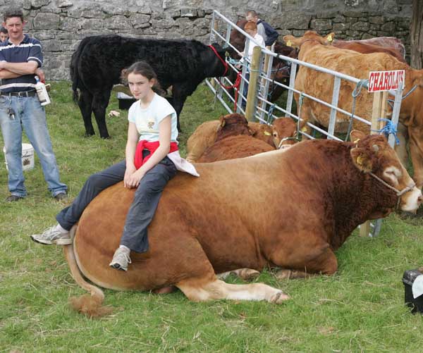 Elaine Clancy  Molosky House  Mullagh Co Clare takes time out at Ballinrobe Show and finds a comfortable seat on the back of their prizewinning Bull. Photo: Michael Donnelly.