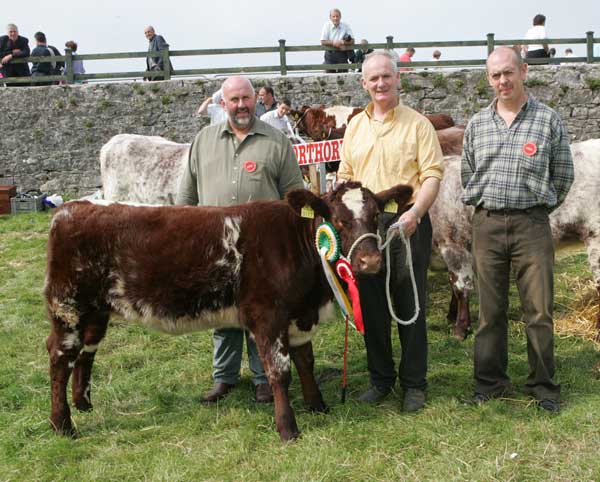 Noel Dowd Creggs Co Galway with the Champion Shorthorn of Show at Ballinrobe Agricultural Show, included in photo are Judges Donie McKeon, Enniscrone, and Michael D'Arcy Oughterard. Photo: Michael Donnelly.