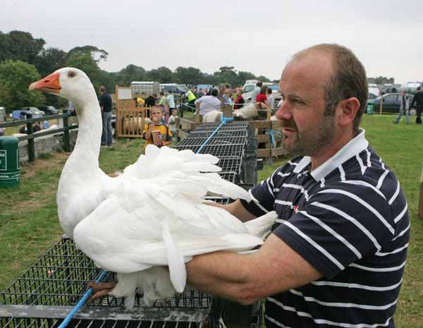 Aidan Flanagan Bengeary Crossmolina with his prizewwinning Goose at Ballinrobe Agricultural Show. Photo: Michael Donnelly.