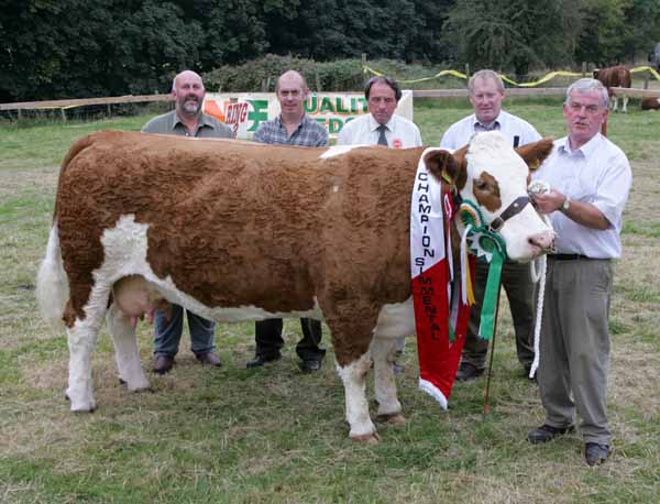 Paddy Hennelly Cregconnell, Rosses Point Sligo with "Hillcrest Joan" the Champion of Show at Ballinrobe Agricultural Show, included in photo are Judges Donie McKeon, Enniscrone; Michael D'Arcy Oughterard; Kenneth Stubbs, Irvinestown Co Fermanagh; and Tom Cox,  Photo: Michael Donnelly.