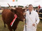 Brian Halton, Corlurgan, Baileborough Co Cavan pictured with his Saler heifer which came 4th in the DeCare International All Ireland Pedigree Suckler type Heifer at Claremorris Agricultural Show. having qualified at Baileborough.  Photo: Michael Donnelly.