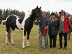 Michael Egan Charlestown  with Champion Coloured Stallion at Claremorris Agricultural Show 2005 included in photo are judges Michael and Frank Dooner Athlone. Photo: Michael Donnelly.