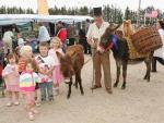 Dominic Geraghty Rahard Kells Co Meath  with his donkeys and dog were a big attraction at the Claremorris Agricultural Show. Photo: Michael Donnelly.