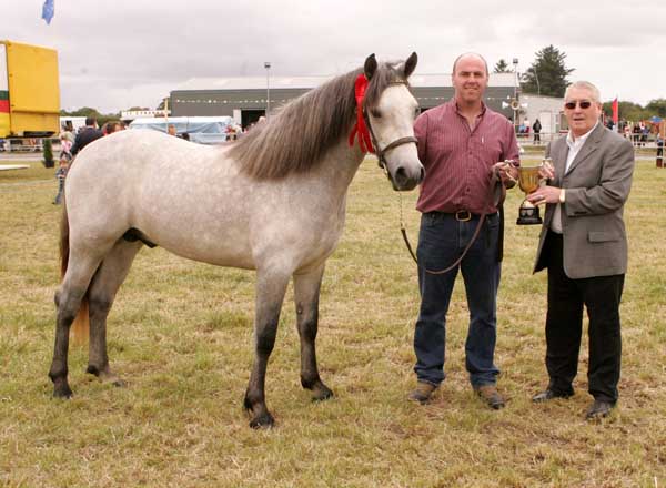 Bertie O'Halloran,  Bushy Park, Galway, is presented with  the Canon Moore Perpetual Trophy by Vinny Cannon Brookhill Claremorris (on right)  for Best 2-3 year old Colt/Gelding in the   Registered  Connemara section at Claremorris Agricultural Show. Photo: Michael Donnelly.