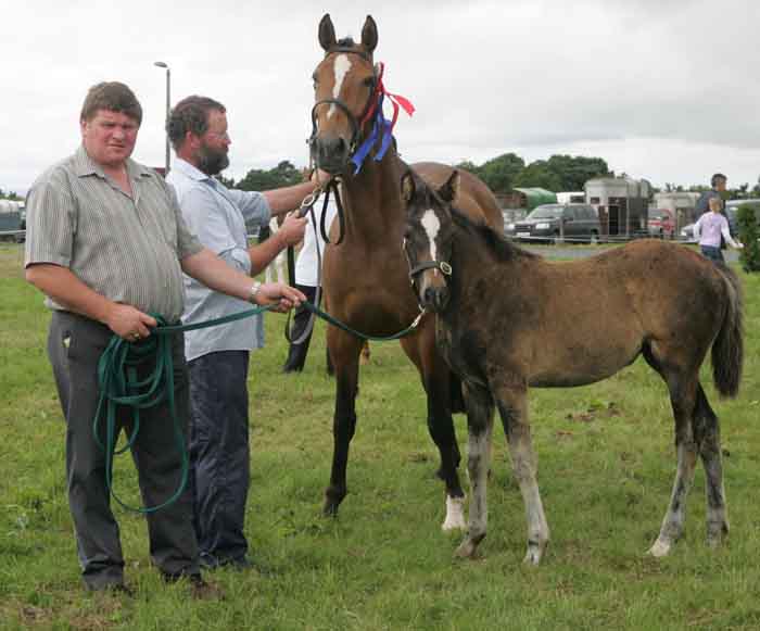 Pat Prendergast, Belfield House, Claremorris, pictured with Best Filly Foal at the 88th Claremorris Agricultural Show, showing  the mare was John Dixon. Photo:  Michael Donnelly
