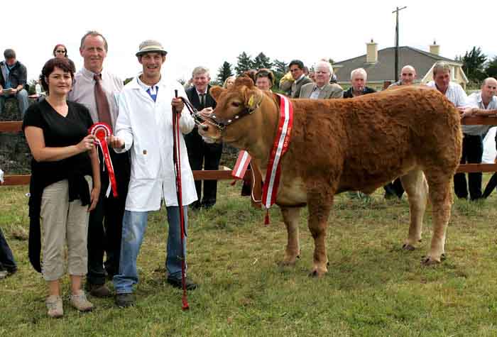 Anne Hanley, Western Hotel, Claremorris presents Gareth Behan, Ballyfin Portlaoise with Champion Heifer rosette in the All Ireland Pedigree Suckler Type Heifer championship sponsored by the Western Hotel, Claremorris, included in photo is Michael Fox, (cattle judge) Tullamore. Photo:  Michael Donnelly