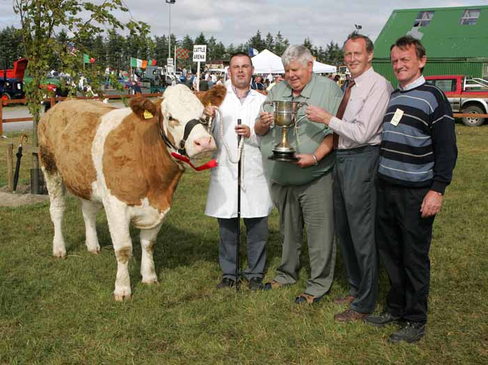 Martin Feeney, Ballygawley, Co Sligo is presented with the Parish Cup by PJ Timlin (steward) Michael Fox, Tullamore, (judge) and Colm Kitching (steward) at the 88th Claremorris Agricultural Show for best Continental X heifer to breed a Continental Calf, (Class 73).   Photo:  Michael Donnelly