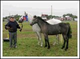 Liam Walsh, Carravilla Hollymount who got a 1st (foal); 2nd (mare);  and 3rd Mare and Foal at the 88th Claremorris Agricultural Show. Photo:  Michael Donnelly