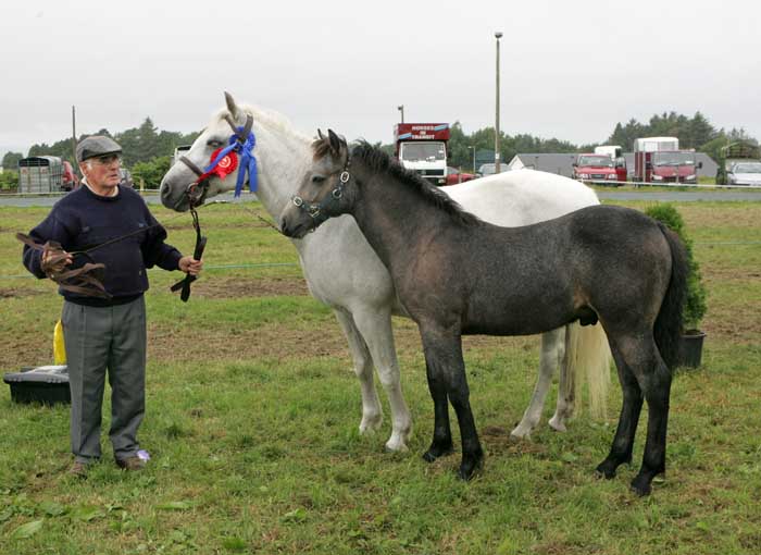 Liam Walsh, Carravilla Hollymount who got a 1st (foal); 2nd (mare);  and 3rd Mare and Foal at the 88th Claremorris Agricultural Show. Photo:  Michael Donnelly