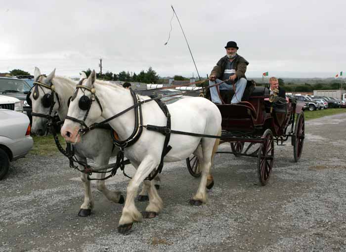 Horse Drawn Carriage at the 88th Claremorris Agricultural Show. Pic Michael Donnelly.