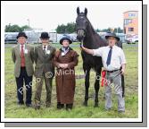 Best non-thoroughbred 2 year old Colt of Gelding  shown by Stephen Doherty, Ballina and owned by Lily McGowan pictured at Claremorris Agricultural Show with judges Michael Dooner, Athlone; George O'Malley, Longford and Jessica Tanner, Cork. Photo:  Michael Donnelly