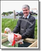 John Dunleavy, Shammer Kilkelly got 1st, 2nd and 3rd for his geese at Claremorris Agricultural Show. Photo:  Michael Donnelly