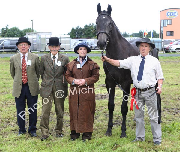 Best non-thoroughbred 2 year old Colt of Gelding  shown by Stephen Doherty, Ballina and owned by Lily McGowan pictured at Claremorris Agricultural Show with judges Michael Dooner, Athlone; George O'Malley, Longford and Jessica Tanner, Cork. Photo:  Michael Donnelly