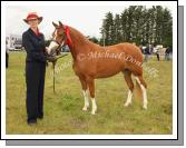 Una Gillavary, Headford, (Sweeney, Newport Rd Castlebar) pictured with Antiga April, winner of the Pony Mare/ Gelding 128 cm shown in Hand at Claremorris Agricultural Show.  Photo:  Michael Donnelly