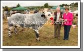 Pauline Prendergast, PRO Claremorris Agricultural Show, presents the Joe Dowd Memorial Cup to Paddy McKeown Ballyvary for Best Continental Bullock with 2 teeth on day of Show.Photo: Michael Donnelly. 