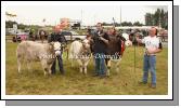 Dermot Mullaney, Creggs, Balla, (on right) pictured with cow and twin calves shown by Tony and Michael McKeown at Claremorris Agricultural Show in the best Best Suckling Type Cow with 2009 Calf at Foot Non- Pedigree Class. Photo: Michael Donnelly.