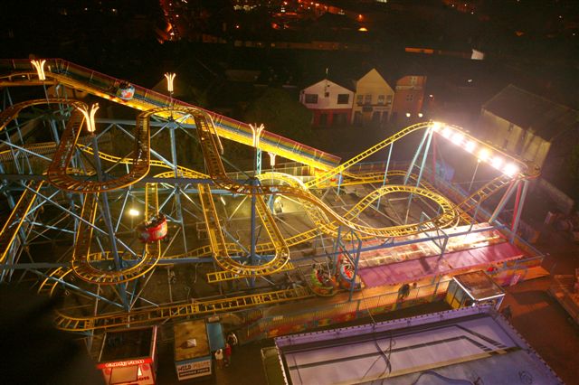 7D8T8205  Wild mouse.jpg