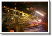 7D8T8205  Wild mouse.jpg