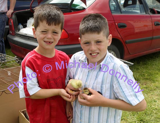 Michael and Tommy Delaney Lower Salthill pictured with young Ducklings at Roundfort Agricultural Show. Photo Michael Donnelly