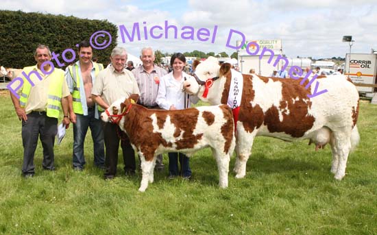Paddy and Elaine Hennelly, of Cregconnell, Rosses Point Sligo, pictured with the Champion Simmental of Roundfort Agricultural Show, include in photo from left: Padraig Heneghan and  PJ Mooney, Show Stewards; Paddy Hennelly, Owen O'Neill, Bova AI Limerick, (Judge) and Elaine Hennelly. Photo Michael Donnelly