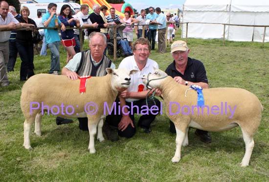 Padraic Niland, Ardrahan Co Galway (on right), won 1st and 2nd for Pedigree Texel Ewe Shearling, or upwards at Roundfort Agricultural Show, included in photo from left: Aidan Fahy Ardrahan and John Donoghue (Judge) Kilkenny. Photo Michael Donnelly