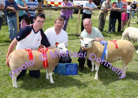 David Coen, Lehinch, Hollymount, won the Champion Pedigree Sheep pictured with Judge John Donoghue (Kilkenny) and Aidan Fahy Ardrahan showing for Padraic Niland Ardrahan Co Galway,  who took the Reserve Champion title, at Roundfort Agricultural Show. Photo Michael Donnelly