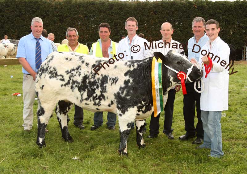 The heifer of R and M McGivern Carrigtoohill, Co Cork won the Connacht Gold Quality Feeds 1,300 Euro All Ireland Heifer Championship, at Roundfort Agricultural Show, from left|: Alan McRea, Strabane (Judge); Michael Heneghan and PJ Mooney, Show committee; Oliver McGowan, handler; Jim Nally, Chairman Roundfort Agricultural Show; and Joe Waldron, Connacht Gold, competition sponsor and Mark McGivern Carrigtoohill, Co Cork  Photo:  Michael Donnelly