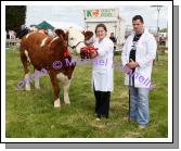 Sharon Clarke and Jason Barber Grange Sligo pictured with the winning Pedigree Simmental Junior Heifer in the Roundfort Agricultural Show, (Class 70) . Photo Michael Donnelly