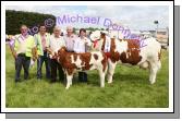 Paddy and Elaine Hennelly, of Cregconnell, Rosses Point Sligo, pictured with the Champion Simmental of Roundfort Agricultural Show, include in photo from left: Padraig Heneghan and  PJ Mooney, Show Stewards; Paddy Hennelly, Owen O'Neill, Bova AI Limerick, (Judge) and Elaine Hennelly. Photo Michael Donnelly