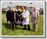 Champion Angus at Roundfort Agricultural Show, was shown by Bernadette Healy and owned by John Healy, Knockdoe East Claregalway, included in photo from left: P.J. Mooney and Padraig Heneghan, Show Stewards and Owen O'Neill Bova AI Limerick (Judge). Photo Michael Donnelly