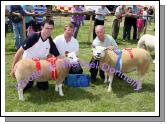 David Coen, Lehinch, Hollymount, won the Champion Pedigree Sheep pictured with Judge John Donoghue (Kilkenny) and Aidan Fahy Ardrahan showing for Padraic Niland Ardrahan Co Galway,  who took the Reserve Champion title, at Roundfort Agricultural Show. Photo Michael Donnelly