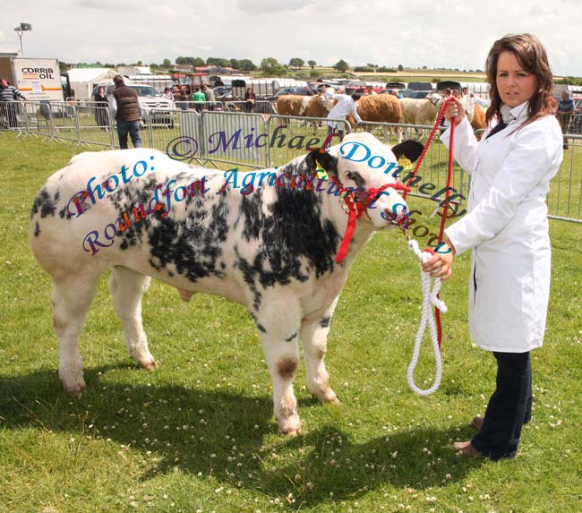 Clare O'Brien, Burnfoot Co Donegal with prizewinning  Belgian Blue Bull Calf at Roundfort Agricultural Show, Co Mayo. Photo:  Michael Donnelly