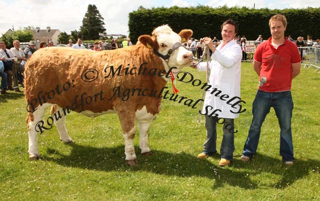 Gerard and Mark Neenan, Ballyhaunis pictured with their champioon Simmental Heifer at Roundfort Agricultural Show. Photo:  Michael Donnelly