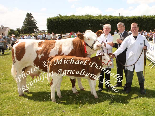 Paddy  Hennelly, of Cregconnell, Rosses Point, Sligo, won the Champion Simmmental  of Roundfort Agricultural show with his Cow and Calf at foot or in milk ,  included in photo are James Costello, Skreen, Co Sligo  Cattle Judge and Gerry Lenehan, Easkey, Co Sligo (handler).Photo:  Michael Donnelly