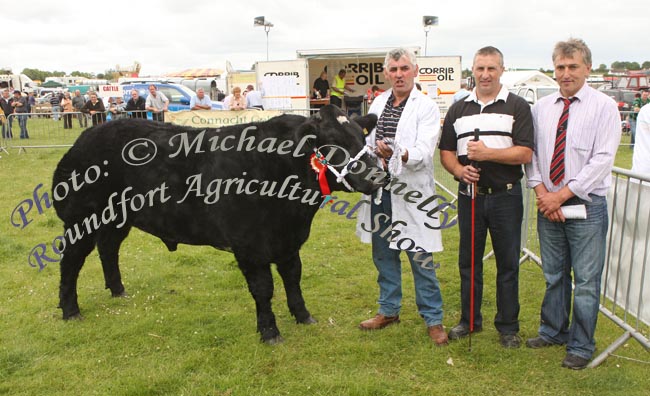 Tom Yorke, Ballymahon, Co. Longford, pictured  at Roundfort Agricultural Show, Co Mayo with prizewinning Bullock without permanent teeth, included in photo are James Teague, Ballymahon and Gordon Cutler Enniskillen (Judge). Photo:  Michael Donnelly
                  1st   T