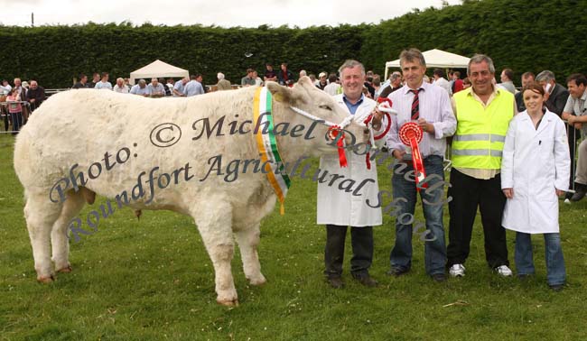 Robert Burns, Easkey, Co Sligo wins the Commercial Champion of Roundfort Agricultural Show with his 2yr old bullock, included in photo are Gordon Cutler, Enniskillen and Padraig Heneghan, committee and Diane Burns. Photo:  Michael Donnelly