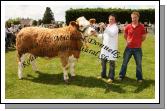 Gerard and Mark Neenan, Ballyhaunis pictured with their champioon Simmental Heifer at Roundfort Agricultural Show. Photo:  Michael Donnelly