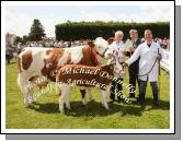 Paddy  Hennelly, of Cregconnell, Rosses Point, Sligo, won the Champion Simmmental  of Roundfort Agricultural show with his Cow and Calf at foot or in milk ,  included in photo are James Costello, Skreen, Co Sligo  Cattle Judge and Gerry Lenehan, Easkey, Co Sligo (handler).Photo:  Michael Donnelly