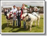 David Pearson, Ballacolla, Laois had 1st and 2nd  in the "Pedigree Belgian Blue Bull calf born on or after 1/9/2008" class at Roundfort Agricultural Show, from left: Sean Moran, Sharon Rothwell (Judge) and David Pearson, Ballacolla, Co Laois. Photo:  Michael Donnelly