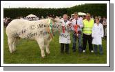 Robert Burns, Easkey, Co Sligo wins the Commercial Champion of Roundfort Agricultural Show with his 2yr old bullock, included in photo are Gordon Cutler, Enniskillen and Padraig Heneghan, committee and Diane Burns. Photo:  Michael Donnelly