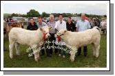 Brendan Canning, Creggconnell Rosses Point, Sligo (3rd from left) pictured with Best Pair Pedigree Calves all breeds born from 1/9/2008 by same breeder 
 at Roundfort Agricultural Show, included in photo from left: April  Higgins, Claremorris, Sean McGarry, Sean and Niall Canning, Sandra Regan and Jim Nally Chairman Roundfort Agricultural Show. Photo:  Michael Donnelly