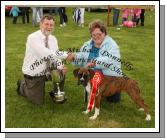 Patricia Coniry, Killimor, Ballinasloe is presented with the "Thomas Lyons Memorial Cup" (Champion Dog of Show Cup) at Roundfort Agricultural Show for her Champion Boxer by Dr Gerard Fleming Galway. Photo:  Michael Donnelly