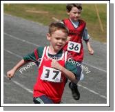 6 year old Oisin Finan, Ardagh taking part in 60m heat in the Mayo finals of the HSE Community Games in Claremorris. Photo:  Michael Donnelly