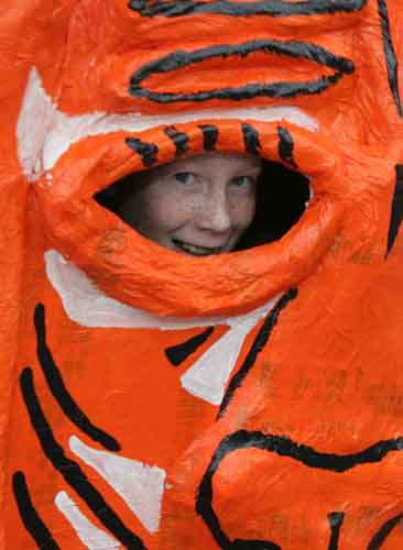 Eye of the Tiger, from the Glenisland Tigers, pictured at the Castlebar St Patrick's Day Parade. Photo Michael Donnelly